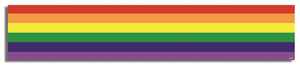 Rainbow Skinny Flag - LGBT Bumper Sticker, Car Magnet Humper Bumper
