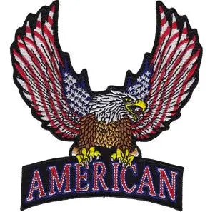 American Eagle Patch C&D Visionary