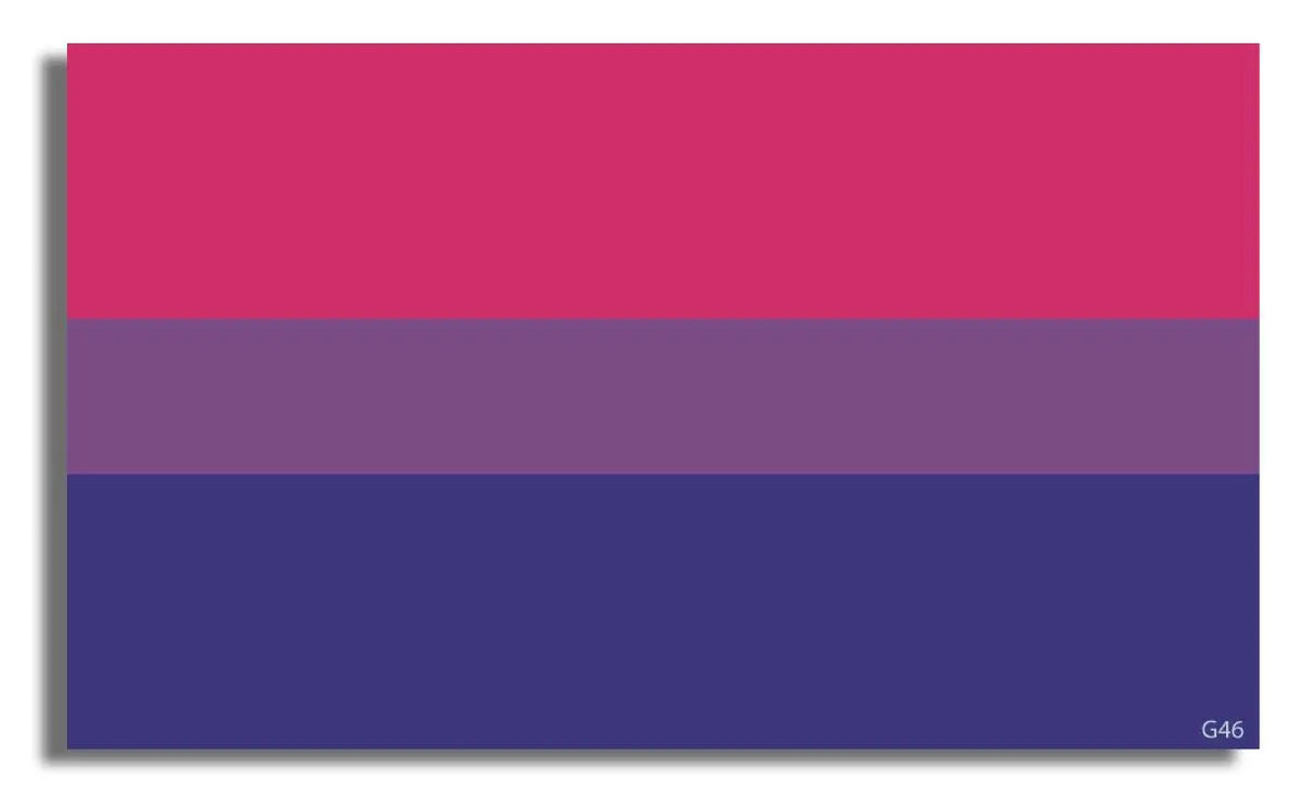 Bisexual Pride Flag - LGBT Bumper Sticker, Car Magnet Humper Bumper