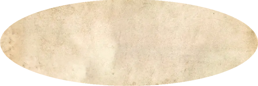 Custom Printing - Oval - 3" X 8" - Bumper Stickers Humper Bumper