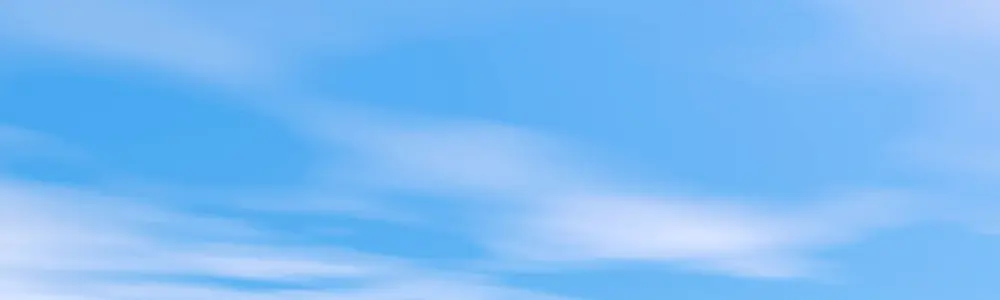 Custom Printing - Rectangle - 3" x 10" Bumper Stickers or Car Magnets Humper Bumper