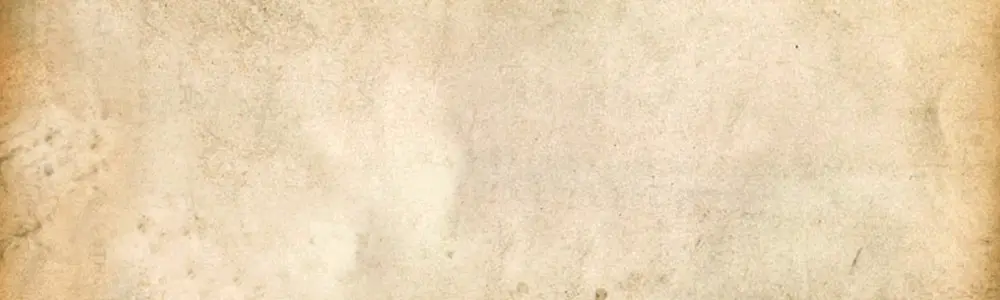 Custom Printing - Rectangle - 3" x 10" Bumper Stickers or Car Magnets Humper Bumper