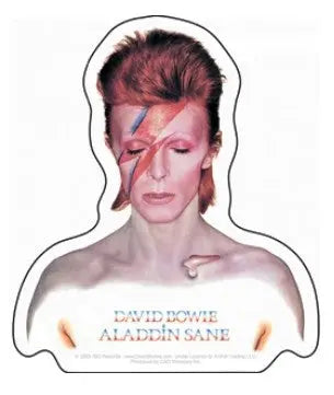 David Bowie Aladdin Sticker C&D Visionary