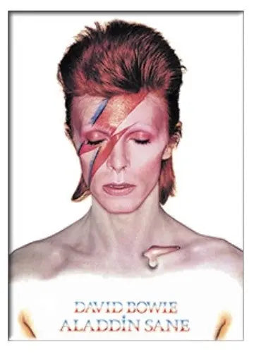 David Bowie Fridge Magnet C&D Visionary