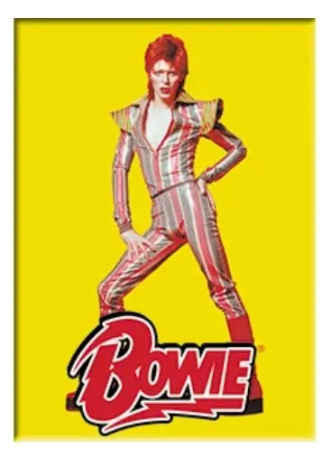 David Bowie Fridge Magnet C&D Visionary