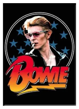 David Bowie Fridge Magnet C&D Visionary