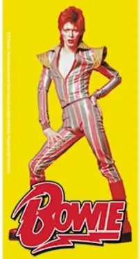 David Bowie Sticker Pose C&D Visionary