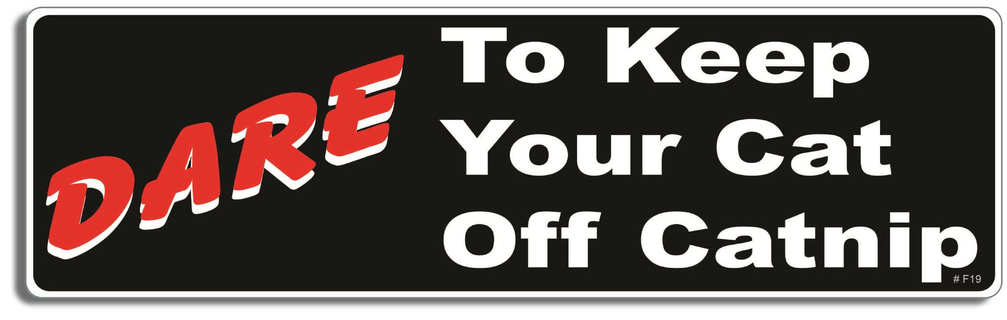 Dare to keep your cat off catnip - 3" x 10" Bumper Sticker--Car Magnet- -  Decal Bumper Sticker-funny Bumper Sticker Car Magnet Dare to keep your cat off catnip-  Decal for carsCats