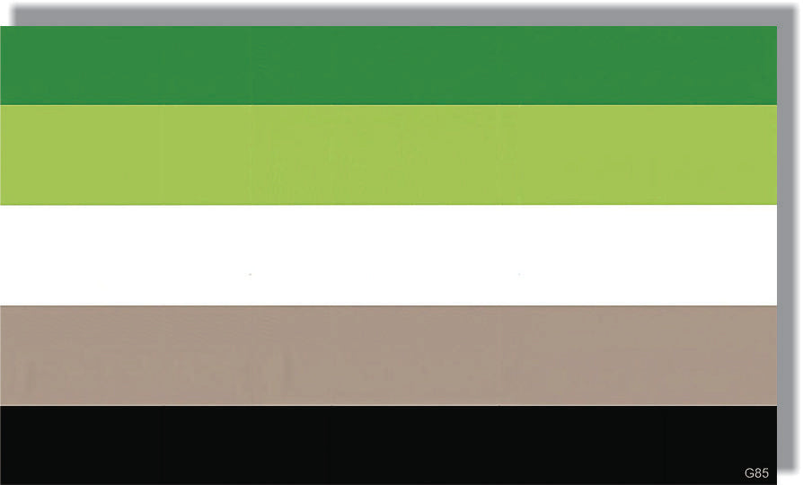 Aromantic Pride Flag - LGBTQ+ Bumper Sticker, Car Magnet