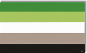 Aromantic Pride Flag - LGBTQ+ Bumper Sticker, Car Magnet