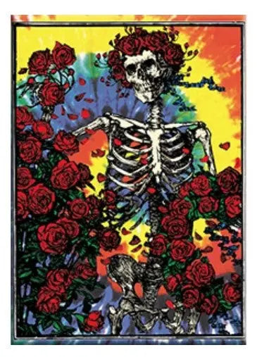 Grateful Dead Fridge Magnet C&D Visionary