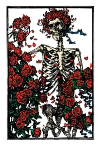 Grateful Dead Fridge Magnet C&D Visionary