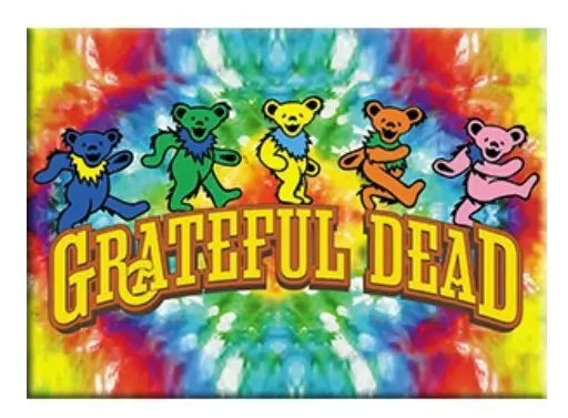 Grateful Dead Fridge Magnet C&D Visionary