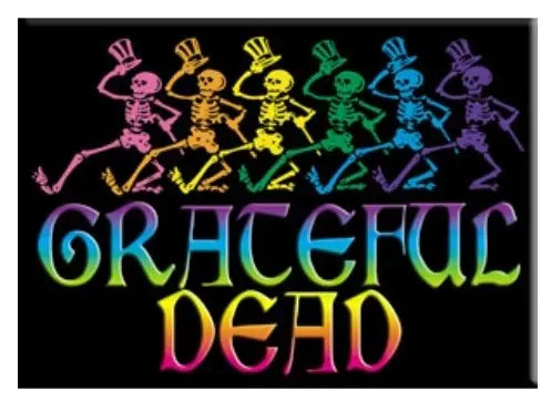 Grateful Dead Fridge Magnet C&D Visionary