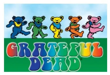 Grateful Dead Fridge Magnet C&D Visionary