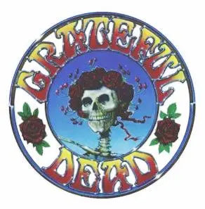 Grateful Dead Fridge Magnet C&D Visionary