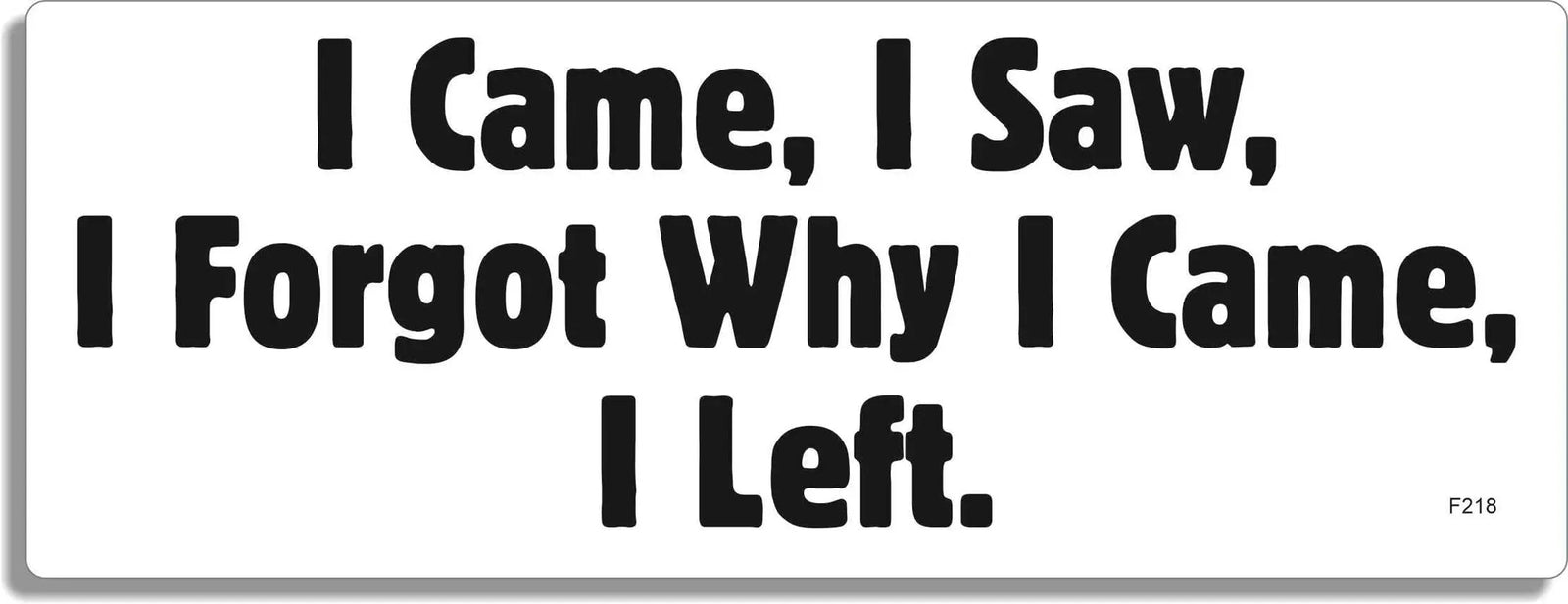 I Came, I Saw, I Forgot Why I Came, I Left - Funny Bumper Sticker, Car Magnet