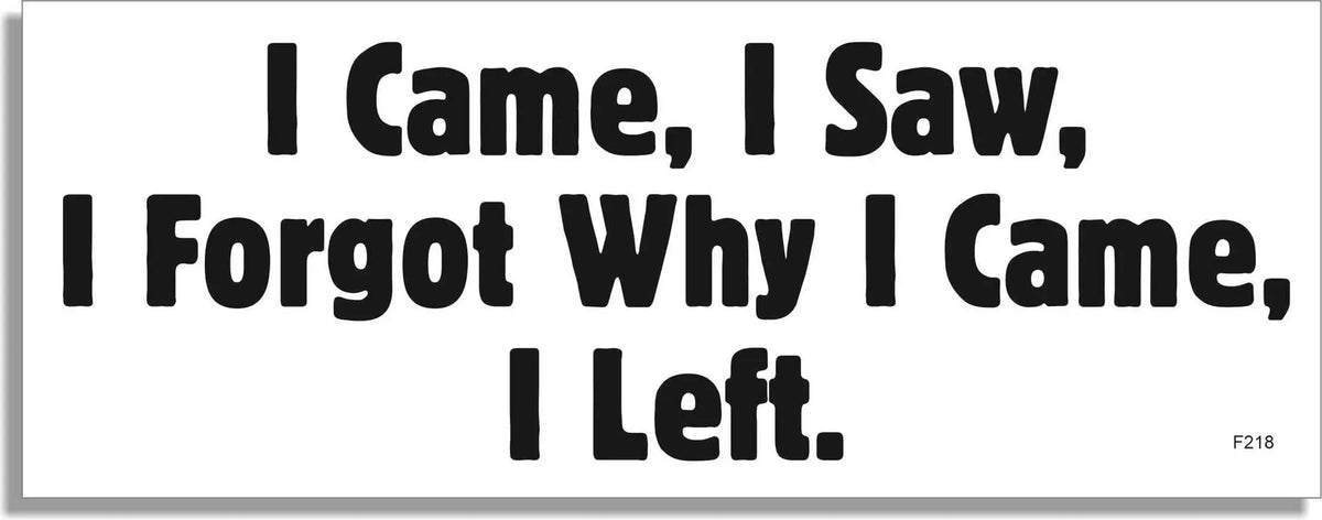 I Came, I Saw, I Forgot Why I Came, I Left - Funny Bumper Sticker, Car Magnet Humper Bumper