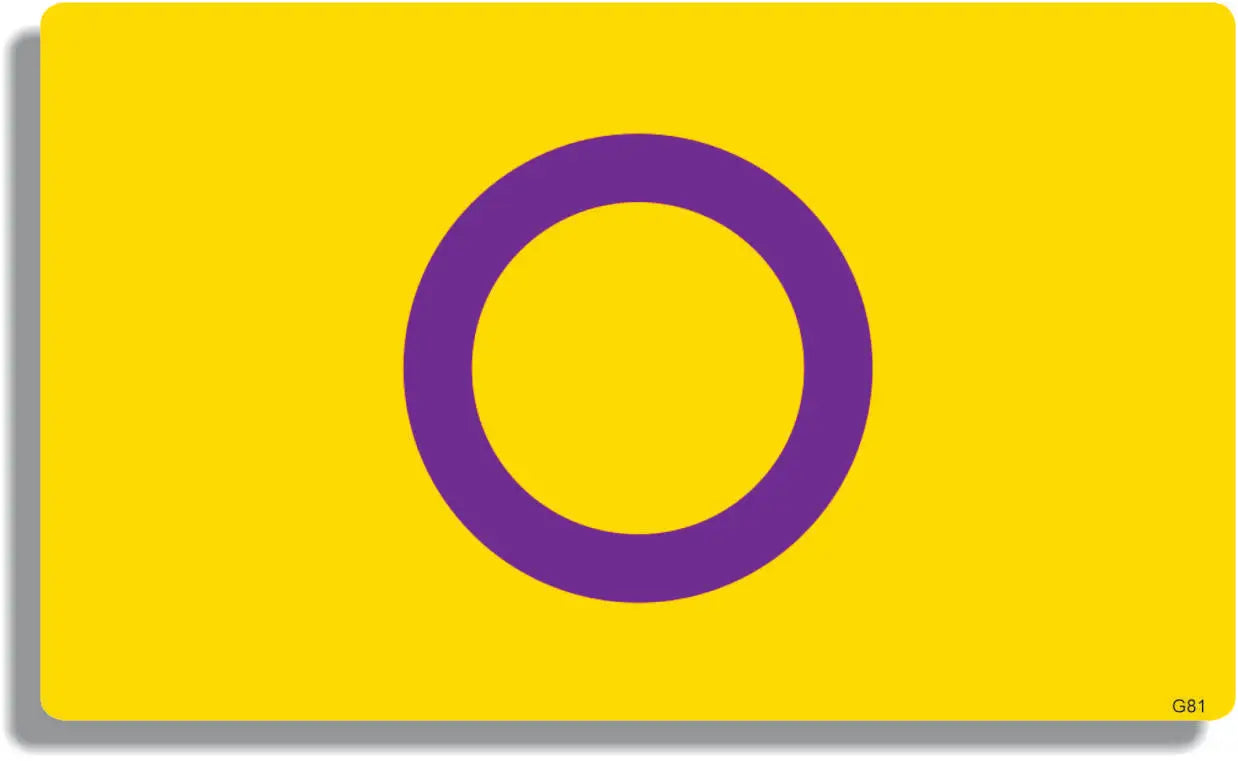 Intersex Pride Flag Bumper Sticker, Car Magnet Humper Bumper