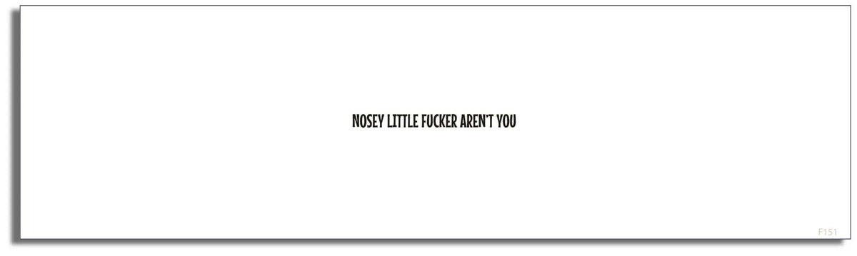 Nosey Little Fucker Aren't You - Funny Bumper Sticker, Car Magnet Humper Bumper