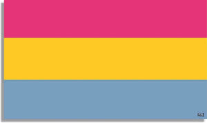 Pan Sexual Pride Flag - LGBT Bumper Sticker, Car Magnet Humper Bumper