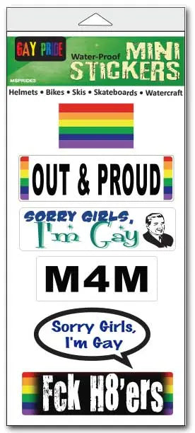 Pride Mini Stickers - Set Of 6 - Size 1" x 3" Each LGBT Stickers Humper Bumper