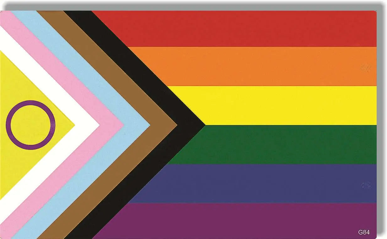 Progress Pride Flag (w/ring) - LGBTQ+ Bumper Sticker, Car Magnet Humper Bumper