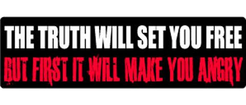 The truth will set you free. but first it will anger you - 3" x 10" Bumper Sticker--Car Magnet- -  Decal Bumper Sticker-political Bumper Sticker Car Magnet The truth will set you free. But-  Decal for carsconservative, liberal, Political