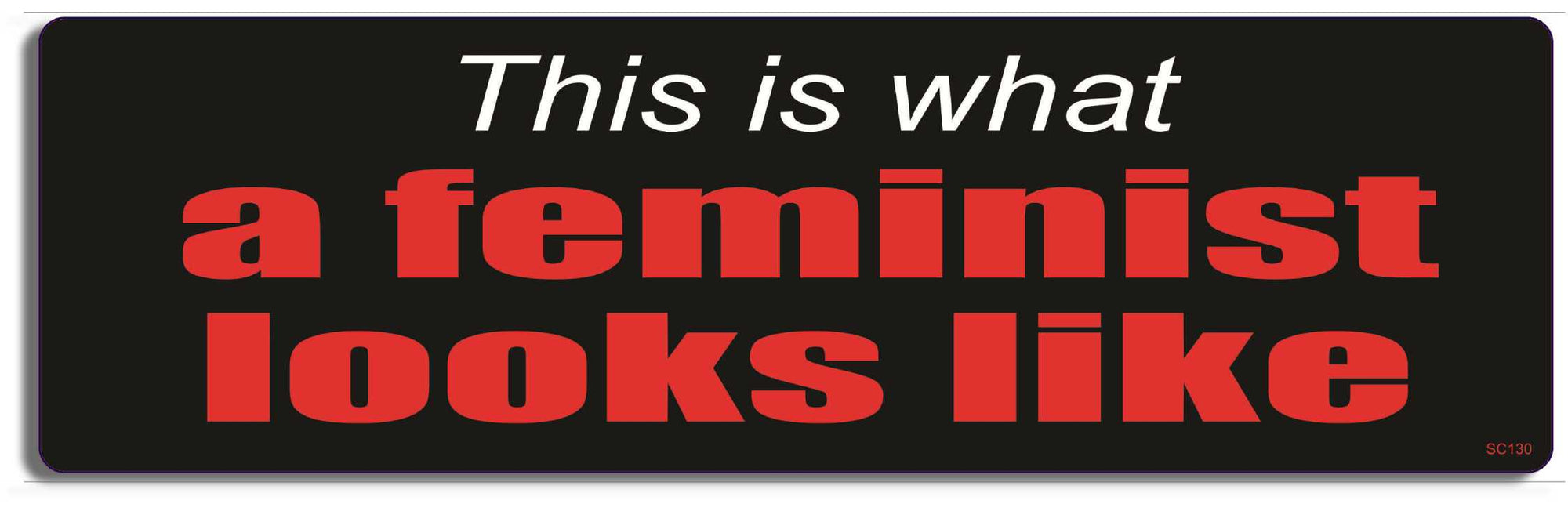 This is what a Feminist looks like - 3" x 10" Bumper Sticker--Car Magnet- -  Decal political Bumper Sticker Car Magnet This is what a Feminist looks like-  Decal for carsequality for women bumper sticker, feminist bumper sticker