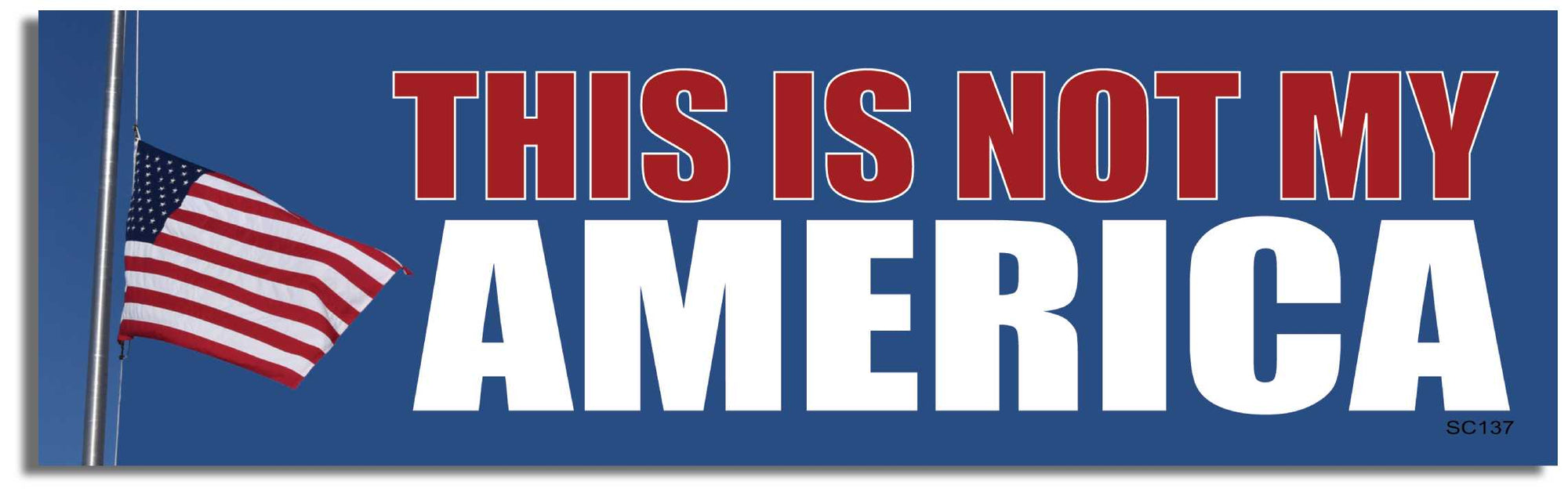 This is not my America-  3" x 10" Bumper Sticker--Car Magnet- -  Decal Bumper Sticker-political Bumper Sticker Car Magnet This is not my America-   Decal for carsnew age, yoga