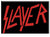 Slayer Fridge Magnet C&D Visionary