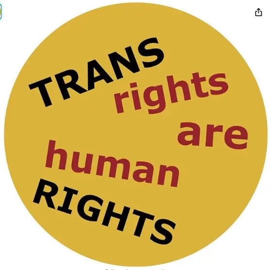 TRANS RIGHTS ARE HUMAN RIGHTS Sticker C&D Visionary