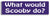 What would Scooby do? - 3" x 10" Bumper Sticker--Car Magnet- -  Decal Bumper Sticker-scooby doo Bumper Sticker Car Magnet What would Scooby do?-  Decal for carscartoons, scooby do