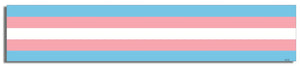 Transexual Skinny Flag - Bumper Sticker, Car Magnet Humper Bumper