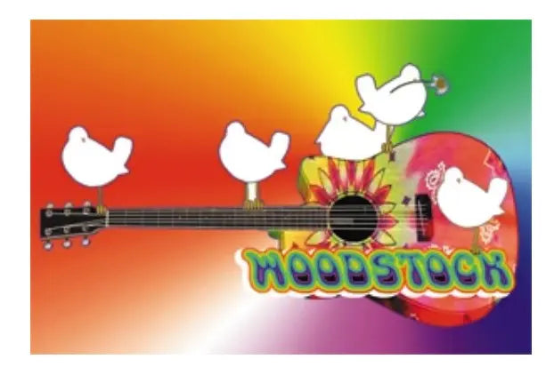 Woodstock Fridge Magnet C&D Visionary