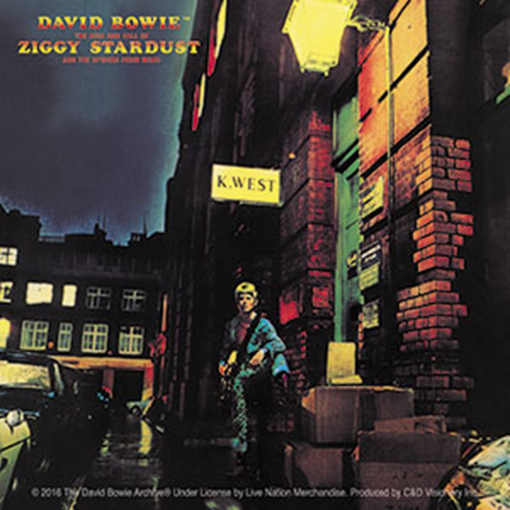 David Bowie Ziggy Stardust Sticker - Humper Bumper Sticker 