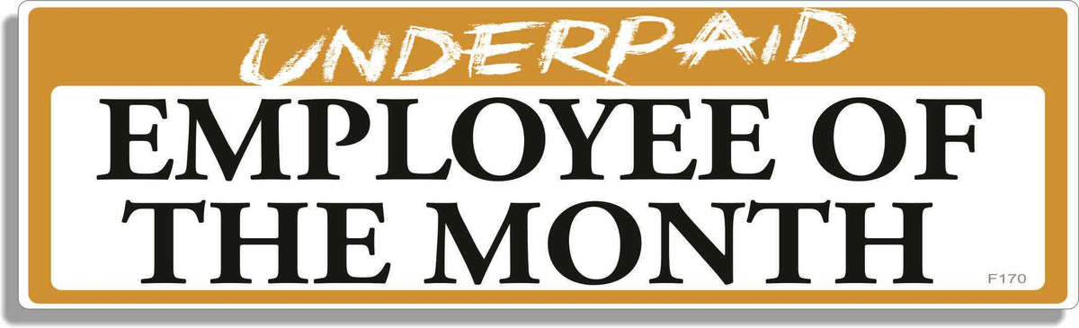 Underpaid Employee Of The Month-  3" x 10" Bumper Sticker--Car Magnet- -  Decal Bumper Sticker-funny Bumper Sticker Car Magnet Underpaid Employee Of The Month-  Decal for cars funny, funny quote, funny saying