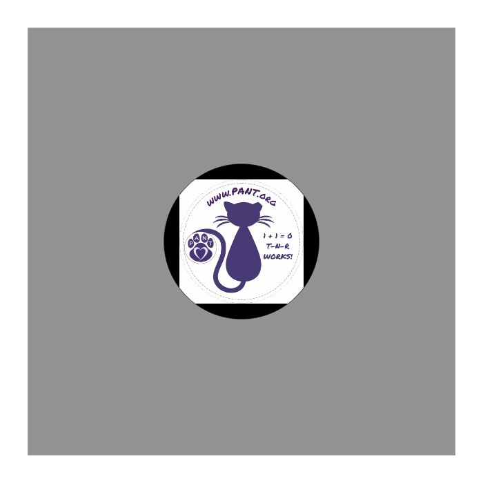 Custom Design Stickers - Circle 4"