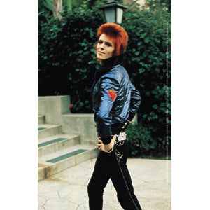 David Bowie Pose Sticker - Humper Bumper Sticker 