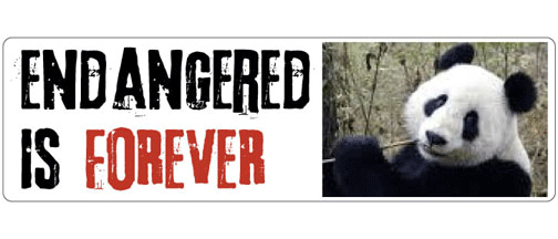 Endangered is FOREVER - 3" x 10 Bumper Sticker--Car Magnet- -  Decal Bumper Sticker-Endangered is FOREVER - 3" x 10 Bumper Sticker/Magnet - environment, environmental, liberal, political