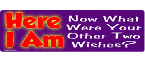 Here I Am! Now what were your other two wishes? - 3" x 10" Bumper Sticker--Car Magnet- -  Decal Bumper Sticker-funny Bumper Sticker Car Magnet Here I Am! Now what were your other-  Decal for cars funny, funny quote, funny saying