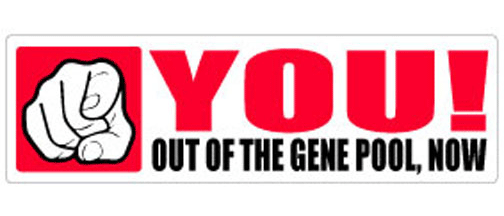 YOU! - out of the gene pool, now. - 3" x 10" Bumper Sticker--Car Magnet- -  Decal Bumper Sticker-funny Bumper Sticker Car Magnet YOU!-out of the gene pool, now-  Decal for cars funny, funny quote, funny saying