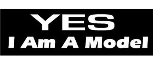 YES - I am a model - 3" x 10" Bumper Sticker--Car Magnet- -  Decal Bumper Sticker-funny Bumper Sticker Car Magnet YES-I am a model-   Decal for cars funny, funny quote, funny saying