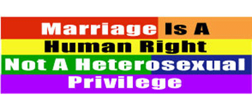 Marriage is a human right, not a heterosexual privilege - 3" x 10" Bumper Sticker--Car Magnet- -  Decal Bumper Sticker-LGBT Bumper Sticker Car Magnet Marriage is a human right, not a-  Decal for carsGay, lgbt, lgbtq, lgtq+, pride, trans, transgender