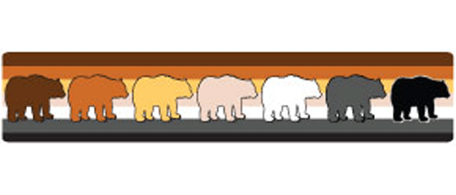 Bear Pride flag - stripe - 2" x 10" Bumper Sticker--Car Magnet- -  Decal Bumper Sticker-LGBT Bumper Sticker Car Magnet Bear Pride flag-stripe-  Decal for carsGay, lgbt, lgbtq, lgtq+, pride, trans, transgender