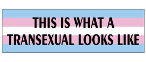 This is what a transexual looks like - 3" x 10" Bumper Sticker--Car Magnet- -  Decal Bumper Sticker-LGBT Bumper Sticker Car Magnet This is what a transexual looks like-  Decal for carsGay, lgbt, lgbtq, lgtq+, pride, trans, transgender