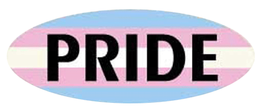 Pride - with Transexual flag - 3" x 8" Bumper Sticker- -  Decal Bumper Sticker-LGBT Bumper Sticker Car Magnet Pride-with Transexual flag-  Decal for carsGay, lgbt, lgtq+, pride