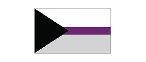 Demisexual flag - 3" x 5"  Bumper Sticker--Car Magnet- -  Decal Bumper Sticker-LGBT Bumper Sticker Car Magnet Demisexual flag-  Decal for carsGay, lgbt, lgbtq, lgtq+, pride, trans, transgender