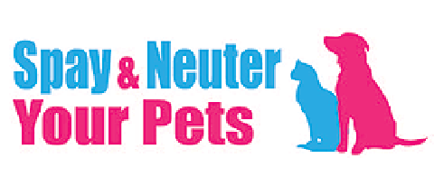 Spay and neuter your pets - 3" x 10" Bumper Sticker--Car Magnet- -  Decal Bumper Sticker-political Bumper Sticker Car Magnet Spay and neuter your pets-  Decal for carsCats, Dogs, Pet owners